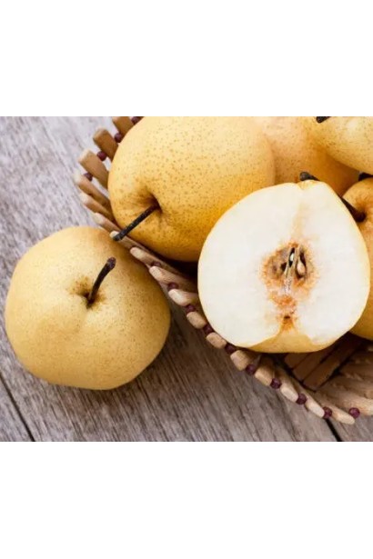 Плоди груші азійської в розрізі